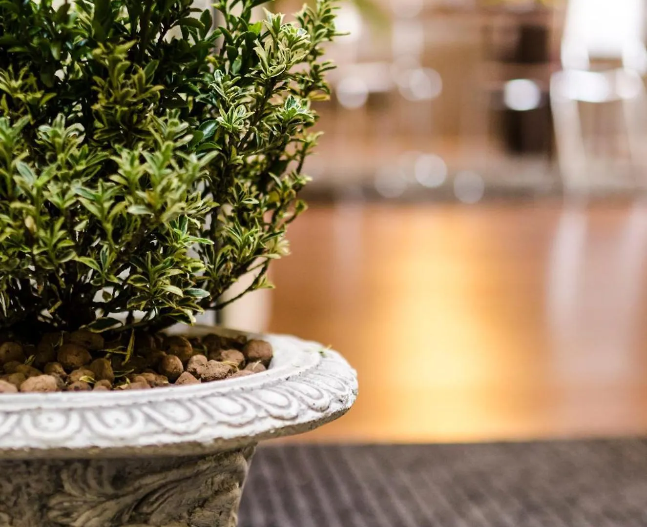Domus San Martino Guesthouse Piacenza Bed & Breakfast